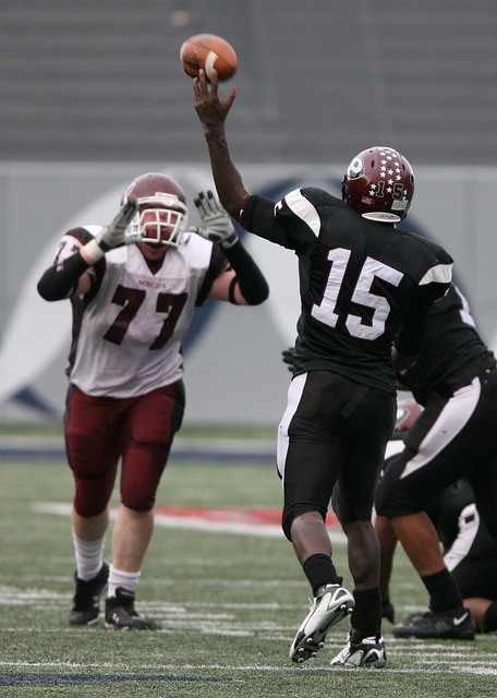 动证明了自 动证明了自