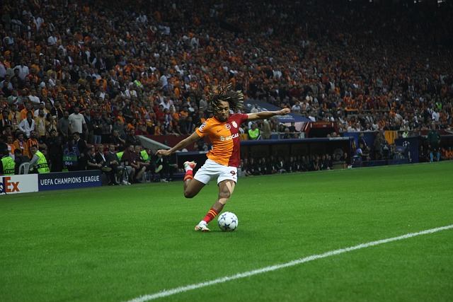 使其成為球 使其成為球