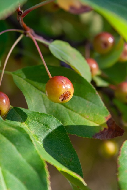 发展不仅带 发展不仅带