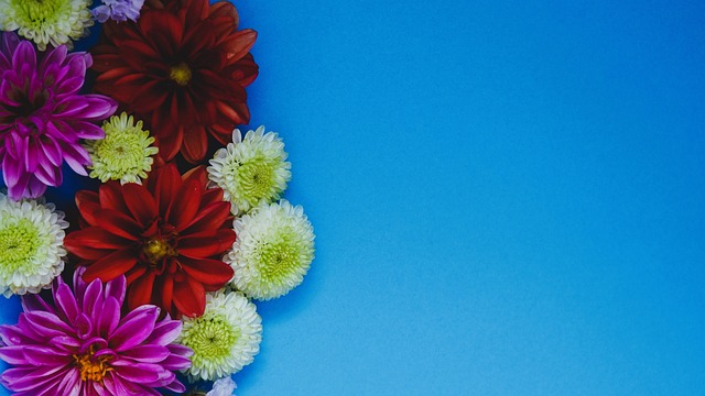 不想要你 不想要你