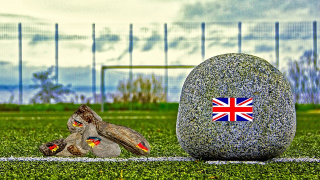 这一事件引 这一事件引